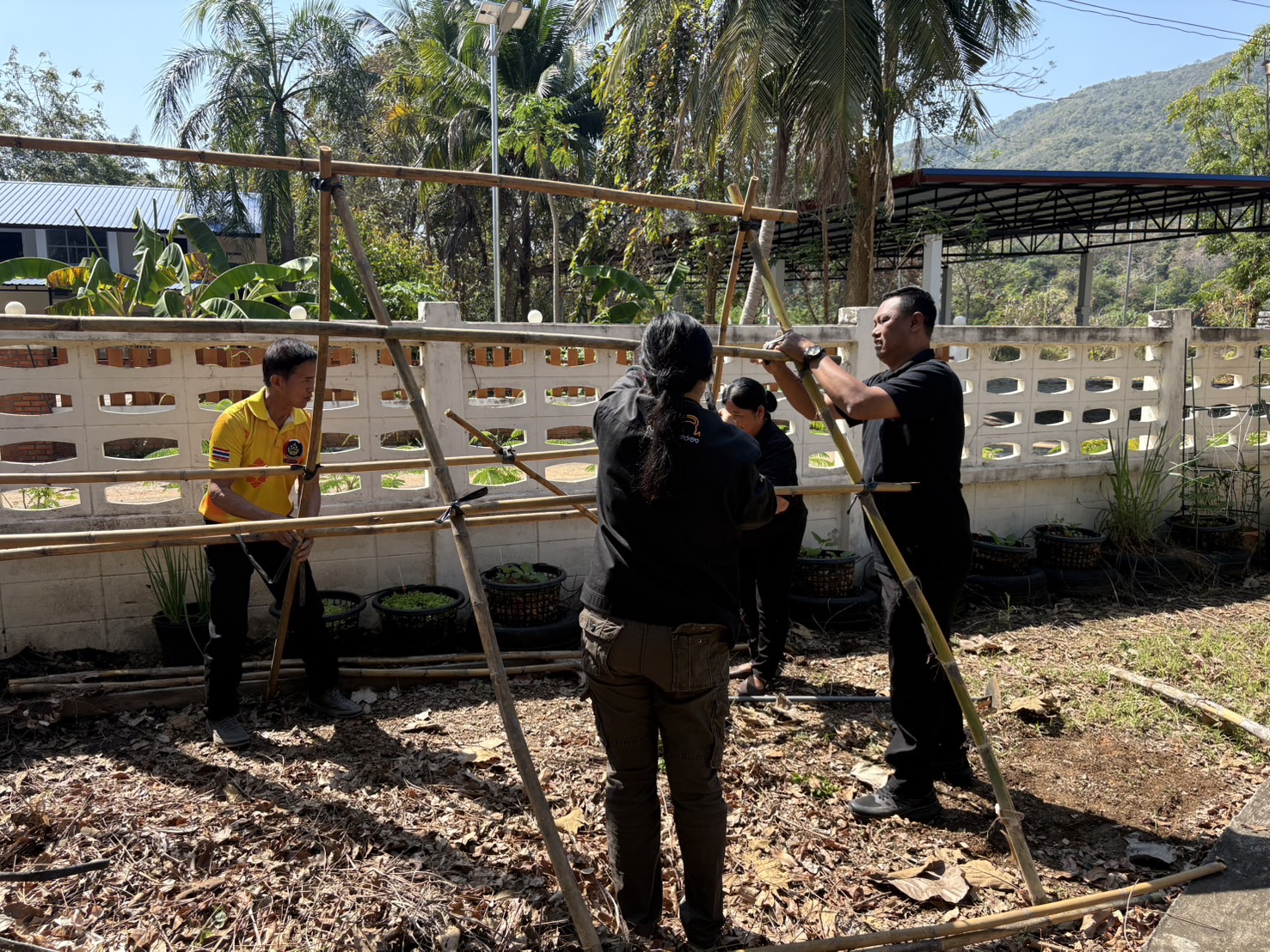 📢 พช.แม่วงก์ ร่วมกับผู้นำ อช. ดำเนินการจัดทำซุ้มปลูกผักไม้เลื้อย